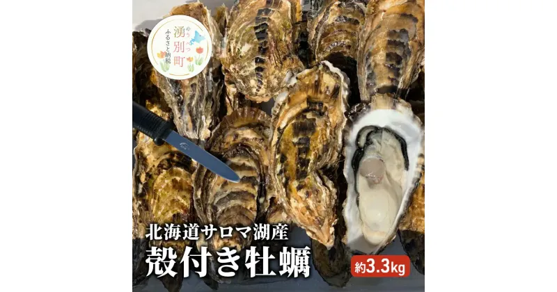 【ふるさと納税】北海道 サロマ湖産 殻付き 牡蠣 約3.3kg かき カキ 海鮮 魚介 国産 貝付き 生食 焼き牡蠣 蒸し牡蠣 冷蔵 産地直送 オホーツク　 魚貝類 生牡蠣 栄養分 豊富 さっぱり 臭みない 生 蒸す プリっプリ 美味しい 　お届け：2024年11月～2025年2月末まで