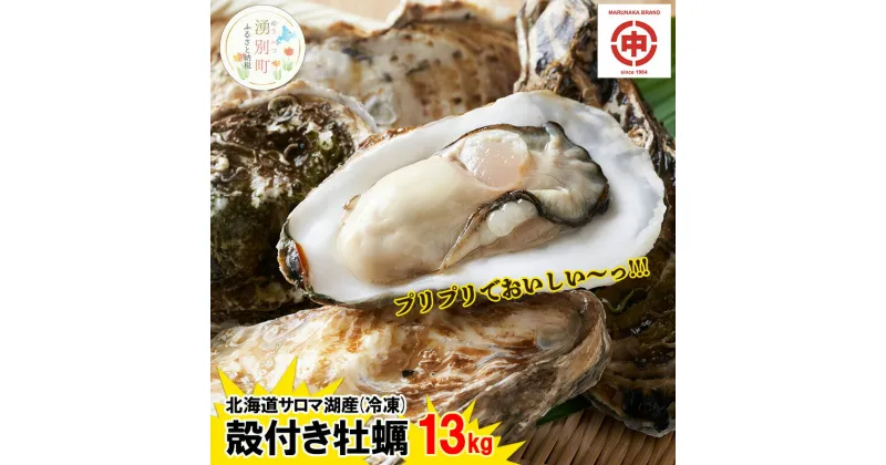 【ふるさと納税】【国内消費拡大求む】 北海道 サロマ湖産 冷凍 殻付き 牡蠣 13kg (2年物) 加熱用 牡蠣 かき カキ 海鮮 魚介 国産 貝付き 焼き牡蠣 蒸し牡蠣 産地直送 オホーツク　 牡蠣 カキ かき 魚介類 貝 貝類 殻付き 　お届け：2024年11月～2025年3月末まで