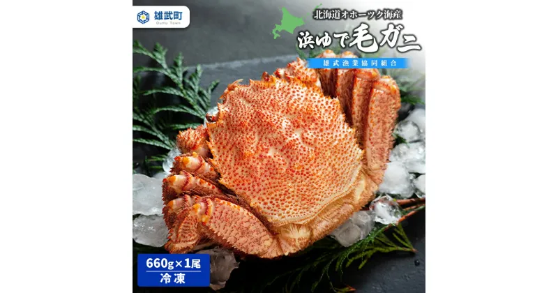 【ふるさと納税】北海道オホーツク 海産　浜ゆで毛ガニ　660g（冷凍）| 毛蟹 毛ガニ 毛がに　蟹 かに カニ 660g 1尾 オホーツク産 雄武町 雄武産 ふるさと納税 雄武 海産 海鮮 浜茹で 冷凍【07130】