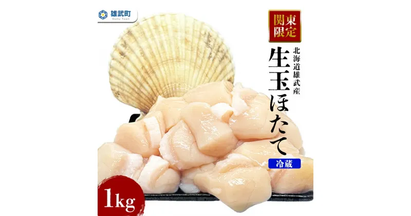 【ふるさと納税】【関東限定！】北海道雄武町産　生玉ほたて500g×2塩水パック（冷蔵）｜関東限定 生玉ホタテ 生ホタテ　大粒 ホタテ 帆立 ほたて 新鮮 500g×2 1kg 生 冷蔵 塩水パック オホーツク 北海道 雄武町 雄武 刺身 魚【07132】