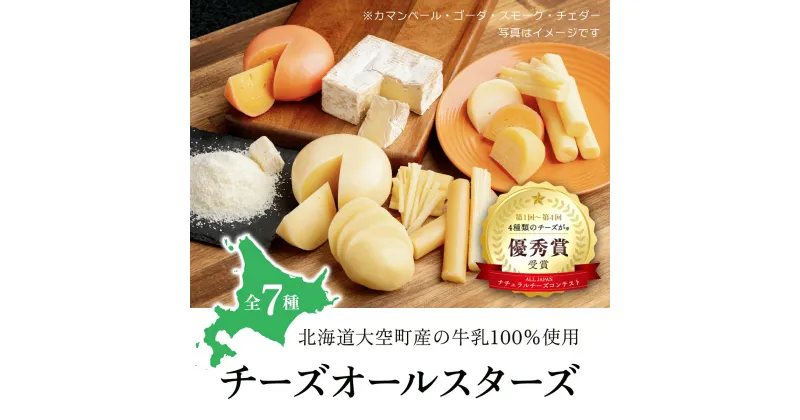 【ふるさと納税】 チーズオールスターズ ふるさと納税 チーズ 乳製品 カマンベール チェダー ゴーダ スモーク モッツァレラ セット 詰合せ 北海道 大空町 送料無料 OSA007