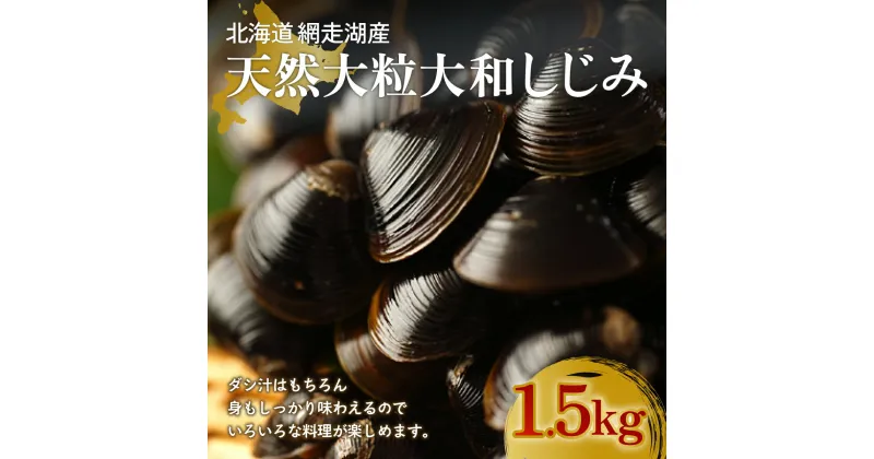 【ふるさと納税】 厳選！網走湖産大粒天然大和しじみ1.5kg 【 ふるさと納税 人気 おすすめ ランキング しじみ シジミ 蜆 貝 しじみ貝 シジミ貝 蜆貝 海鮮 ダシ汁 味噌汁 1.5kg 新鮮 冷凍 料理 網走湖 北海道 大空町 送料無料 】 OSA010