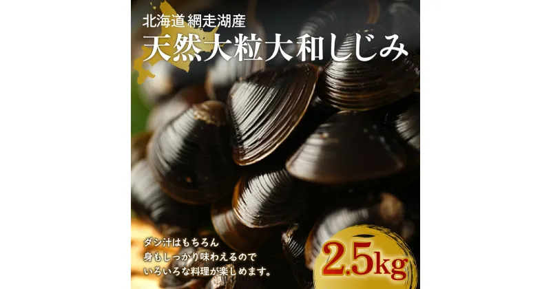 【ふるさと納税】 厳選！網走湖産大粒天然大和しじみ2.5kg 【 ふるさと納税 人気 おすすめ ランキング しじみ シジミ 蜆 貝 しじみ貝 シジミ貝 蜆貝 海鮮 ダシ汁 味噌汁 2.5kg 新鮮 冷凍 料理 網走湖 北海道 大空町 送料無料 】 OSA011