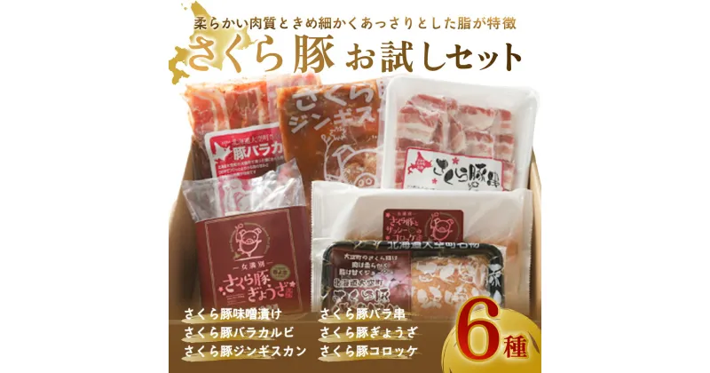 【ふるさと納税】 さくら豚お試しセット ふるさと納税 豚肉 肉 加工品 カルビ ジンギスカン ぎょうざ 餃子 コロッケ 国産 北海道 大空町 送料無料 OSA008