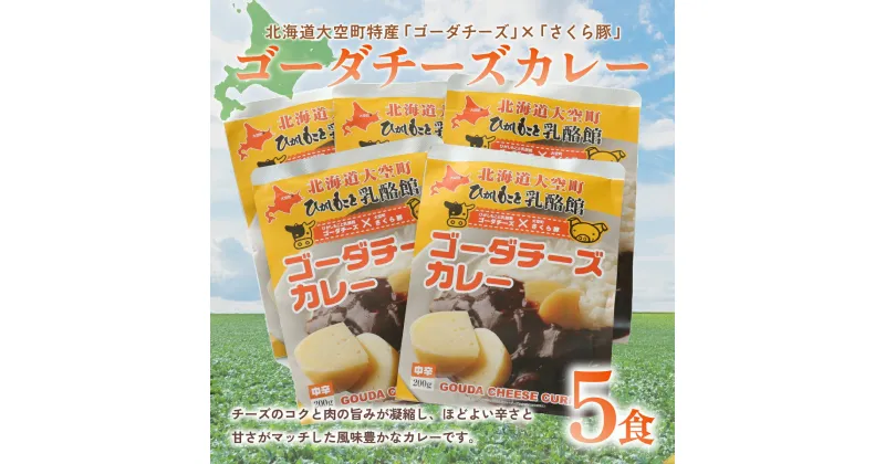 【ふるさと納税】 ゴーダチーズカレー200g×5食 ふるさと納税 カレー カレーライス ご飯 チーズ ゴーダチーズ チーズカレー レトルト 北海道 大空町 送料無料 OSA017