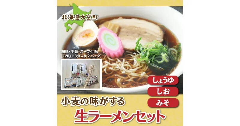 【ふるさと納税】 小麦の味がする生ラーメンセット（細麺・平麺・スープ付き）120g×3食入り2パック ふるさと納税 ラーメン 拉麺 らーめん スープ セット 麺 細麺 平麺 味噌ラーメン 塩ラーメン 醤油ラーメン 北海道 大空町 送料無料 OSR004