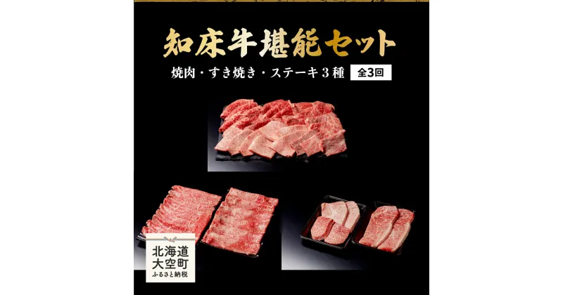 【ふるさと納税】 知床牛堪能(焼肉・すき焼き・ステーキ3種)セット全3回 ふるさと納税 牛肉 牛 肉 ステーキ すき焼き 焼肉 国産 定期配送 定期便 北海道 大空町 送料無料 OSG010