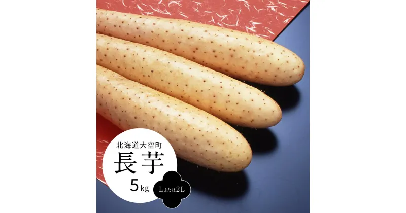 【ふるさと納税】長芋5kg（Lまたは2L） 【 ふるさと納税 人気 おすすめ ランキング ながいも 長芋 ながいも いも 芋 北海道 大空町 送料無料 】 OSM007