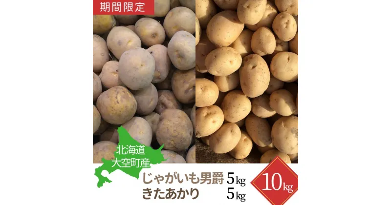 【ふるさと納税】【期間限定】北海道大空町産じゃがいも10kg 【ふるさと納税 人気 おすすめ ランキング じゃがいも ジャガイモ いも 芋 男爵 きたあかり カレー 北海道産 野菜 旬 北海道 大空町 送料無料】 OSA040