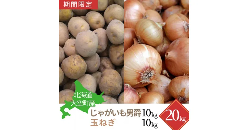 【ふるさと納税】【期間限定】北海道大空町産じゃがいも（男爵）10kg・玉ねぎ10kg 計20kg【 ふるさと納税 人気 おすすめ ランキング じゃがいも ジャガイモ いも 芋 男爵 たまねぎ 玉ねぎ 甘い カレー 北海道産 野菜 旬 北海道 大空町 送料無料 】OSA043