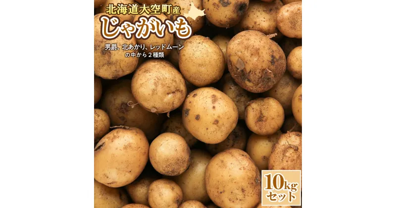 【ふるさと納税】【数量限定】北海道産 じゃがいも 10kgセット 及び(込み玉、土付き)【 ふるさと納税 人気 おすすめ ランキング じゃがいも ジャガイモ いも 芋 男爵 北あかり レッドムーン から 2種類 10kg カレー 北海道産 野菜 旬 北海道 大空町 送料無料 】OSAA001