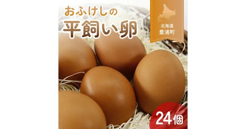 【ふるさと納税】北海道 豊浦 おふけしの平飼い卵 24個 【 ふるさと納税 人気 おすすめ ランキング 卵 たまご 鶏 ニワトリ 国産 タマゴ 平飼い おいしい 美味しい 新鮮 北海道 豊浦町 送料無料 】 TYUZ001