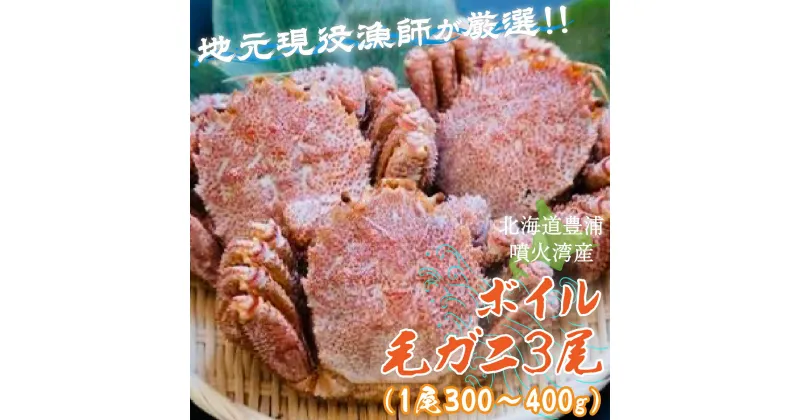 【ふるさと納税】【令和7年度発送先行予約】【地元現役漁師が厳選！！】ボイル・毛ガニ3尾（1尾300～400g）北海道 豊浦 噴火湾 【 ふるさと納税 人気 おすすめ ランキング 魚介類 カニ 蟹 かに 毛がに 毛蟹 大容量 お得 おいしい 北海道 豊浦町 送料無料 】 TYUR008