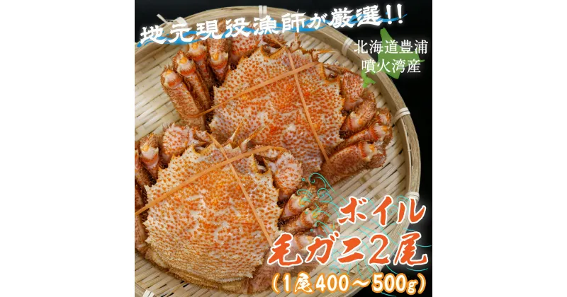 【ふるさと納税】【令和7年度発送先行予約】【地元現役漁師が厳選！！】ボイル・毛ガニ2尾（1尾400～500g）北海道 豊浦 噴火湾 【 ふるさと納税 人気 おすすめ ランキング 魚介類 カニ 蟹 かに 毛がに 毛蟹 大容量 お得 おいしい 北海道 豊浦町 送料無料 】 TYUR007