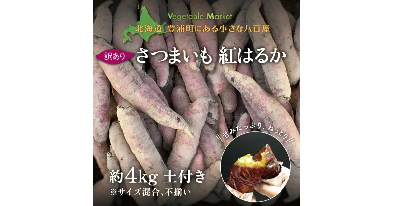 【ふるさと納税】北海道 豊浦 さつまいも 紅はるか 約4kg 土付き【訳あり】サイズ混合・不揃い・ご家庭用 【 ふるさと納税 人気 おすすめ ランキング 野菜 いも 芋 イモ さつまいも 紅はるか 不揃い 混合 おいしい 美味しい 北海道 豊浦町 送料無料 】 TYUB006