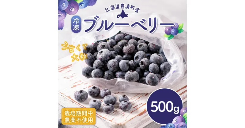 【ふるさと納税】冷凍 ブルーベリー 500g 【 ふるさと納税 人気 おすすめ ランキング 果物 ブルーベリー 冷凍ブルーベリー 国産ブルーベリー 濃厚ブルーベリー 大容量 おいしい 美味しい あまい 新鮮 北海道 豊浦町 送料無料 】 TYUS023