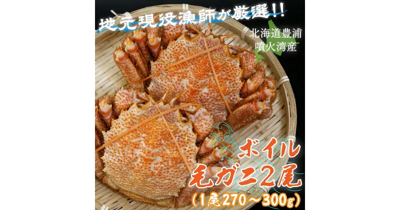 【ふるさと納税】【令和7年度発送先行予約】【地元現役漁師が厳選！！】ボイル・毛ガニ2尾（1尾270～300g）北海道 豊浦 噴火湾 【 ふるさと納税 人気 おすすめ ランキング 魚介類 カニ 蟹 かに 毛がに 毛蟹 大容量 お得 おいしい 北海道 豊浦町 送料無料 】 TYUR005