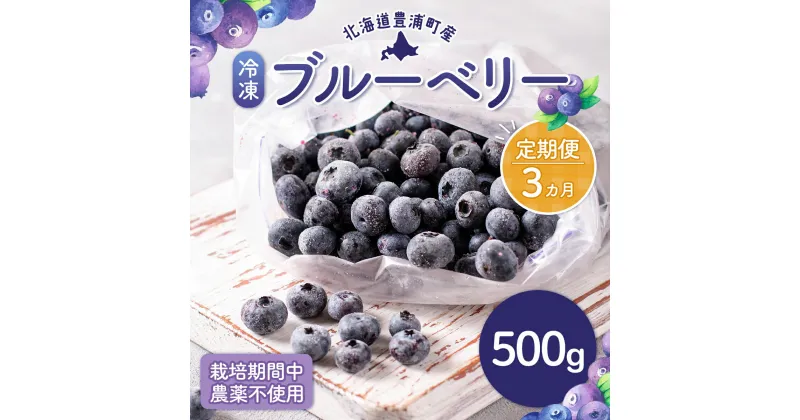 【ふるさと納税】【定期便3カ月】北海道 豊浦町産 冷凍 ブルーベリー 500g 栽培期間中農薬不使用 【 ふるさと納税 人気 おすすめ ランキング 果物 ブルーベリー 冷凍ブルーベリー 国産 濃厚 大容量 無農薬 おいしい 美味しい 新鮮 定期便 北海道 豊浦町 送料無料 】 TYUS010