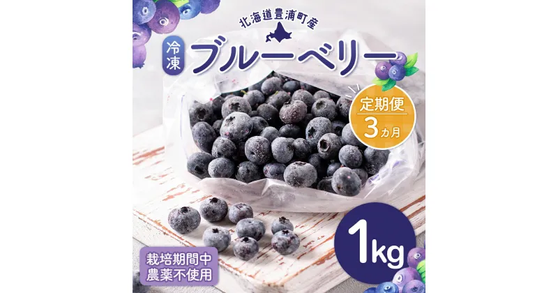 【ふるさと納税】【定期便3カ月】北海道 豊浦町産 冷凍 ブルーベリー 1kg 栽培期間中農薬不使用 【 ふるさと納税 人気 おすすめ ランキング 果物 ブルーベリー 冷凍ブルーベリー 国産 濃厚 大容量 無農薬 おいしい 新鮮 定期便 北海道 豊浦町 送料無料 】 TYUS008