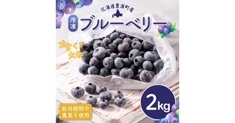 【ふるさと納税】北海道 豊浦町産 冷凍 ブルーベリー 2kg 栽培期間中農薬不使用 【 ふるさと納税 人気 おすすめ ランキング 果物 ブルーベリー 冷凍ブルーベリー 国産ブルーベリー 濃厚ブルーベリー 大容量 無農薬 おいしい 美味しい 新鮮 北海道 豊浦町 送料無料 】 TYUS020