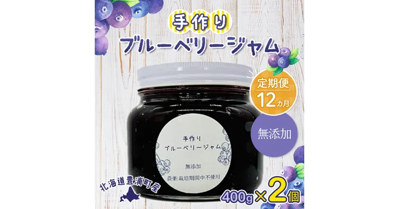 【ふるさと納税】【定期便12カ月】北海道 豊浦町産 無添加手作り ブルーベリージャム400g×2個 【ふるさと納税 人気 おすすめ ランキング 果物 ブルーベリー 国産ブルーベリー ブルーベリージャム 手作り 無添加 大容量 おいしい 定期便 北海道 豊浦町 送料無料】 TYUS002