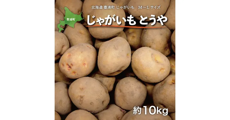 【ふるさと納税】北海道 豊浦町 じゃがいも M～Lサイズ とうや 約10kg【ふるさと納税 人気 おすすめ ランキング 野菜 いも 芋 じゃがいも じゃが芋 ジャガイモ ポテト国産 カレー シチュー おいしい 美味しい 北海道 豊浦町 送料無料】 TYUL007