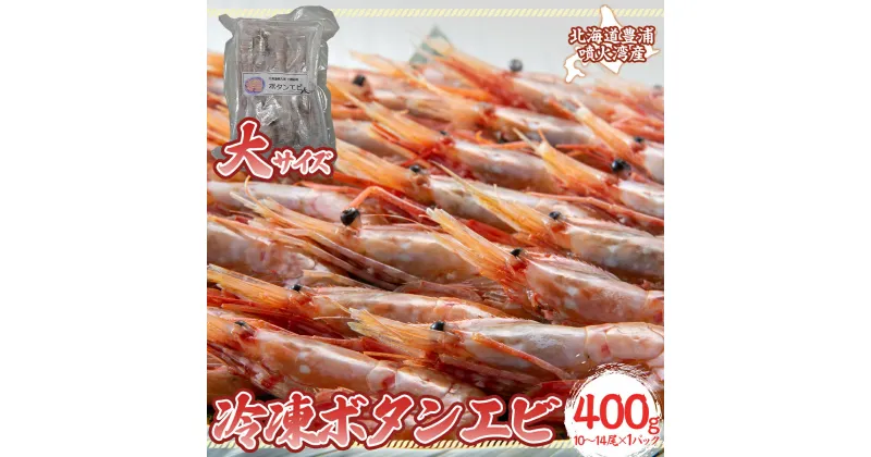 【ふるさと納税】冷凍ボタンエビ 大サイズ 400g（10～14尾）×1パック 北海道 噴火湾産【 ふるさと納税 人気 おすすめ ランキング 魚介類 えび 海老 牡丹海老 ボタンエビ おいしい 美味しい 新鮮 北海道 豊浦町 送料無料 】TYUR042