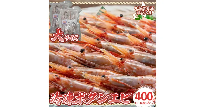 【ふるさと納税】冷凍ボタンエビ 大サイズ 400g（10～14尾）×2パック 北海道 噴火湾産【 ふるさと納税 人気 おすすめ ランキング 魚介類 えび 海老 牡丹海老 ボタンエビ おいしい 美味しい 新鮮 北海道 豊浦町 送料無料 】TYUR043