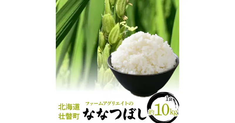 【ふるさと納税】【新米】令和6年産米 ななつぼし　約10kg 【 ふるさと納税 人気 おすすめ ランキング 北海道 新米 米 白米 特Aランク ななつぼし 甘い 贈り物 贈物 贈答 ギフト 大容量 詰合せ セット 北海道 壮瞥町 送料無料 】 SBTB010