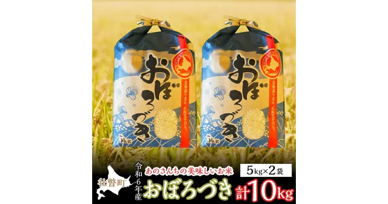 【ふるさと納税】◎令和6年産米 新米 2024年10月上旬よりお届け◎北海道壮瞥産 あのさんちの美味しいお米 おぼろづき　精米5kg×2袋 ふるさと納税 人気 おすすめ ランキング 米 こめ 精米 白米 ご飯 ごはん おぼろづき 北海道 壮瞥町 送料無料 SBTL004