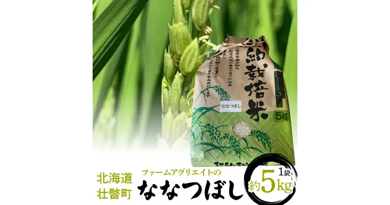 【ふるさと納税】【新米】令和6年産米 ファームアグリエイトのななつぼし　約5kg×1袋 【 ふるさと納税 人気 おすすめ ランキング 北海道 壮瞥 新米 米 白米 特Aランク ななつぼし 甘い 贈り物 贈答 ギフト 大容量 詰合せ セット 北海道 壮瞥町 送料無料 】 SBTB001