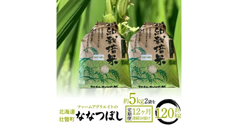 【ふるさと納税】【新米】令和6年産米 ファームアグリエイトのななつぼし　約5kg×2袋を12ヶ月連続お届け 【 ふるさと納税 人気 おすすめ ランキング 北海道 定期便 新米 米 白米 特Aランク ななつぼし 甘い 贈り物 贈答 ギフト セット 北海道 壮瞥町 送料無料 】 SBTB009