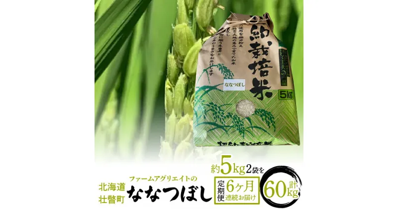 【ふるさと納税】【新米】令和6年産米 ファームアグリエイトのななつぼし　約5kg×2袋を6ヶ月連続お届け 【 ふるさと納税 人気 おすすめ ランキング 北海道 定期便 新米 米 白米 特Aランク ななつぼし 甘い 贈り物 贈答 ギフト セット 北海道 壮瞥町 送料無料 】 SBTB007