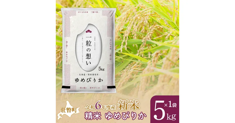 【ふるさと納税】【新米】【令和6年産米】北海道壮瞥産 ゆめぴりか 5kg 米 北海道米 ゆめぴりか 【 ふるさと納税 人気 おすすめ ランキング 新米 米 お米 コメ こめ ゆめぴりか 精米 白米 ごはん ご飯 壮瞥産 北海道 壮瞥町 送料無料 】 SBTE025