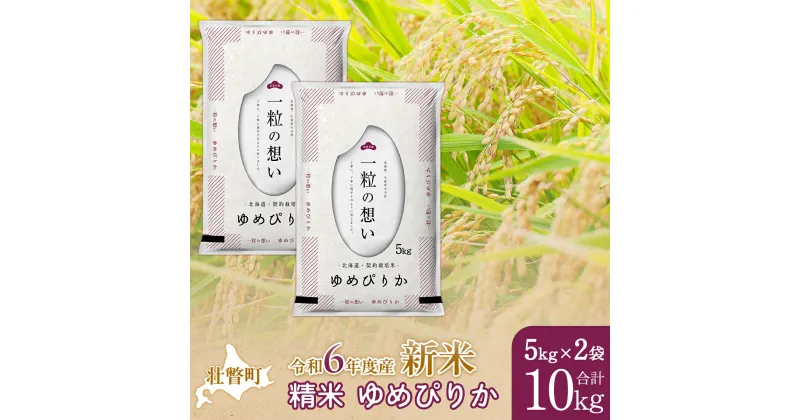 【ふるさと納税】【新米】【令和6年産米】北海道壮瞥産 ゆめぴりか 5kg×2袋 米 北海道米 ゆめぴりか 【 ふるさと納税 人気 おすすめ ランキング 新米 米 お米 コメ こめ ゆめぴりか 精米 白米 ごはん ご飯 壮瞥産 北海道 壮瞥町 送料無料 】 SBTE026