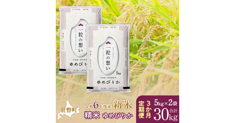 【ふるさと納税】【新米】【令和6年産米】北海道壮瞥産 ゆめぴりか 計30kg（5kg×2袋 3ヵ月定期配送） 【 ふるさと納税 人気 おすすめ ランキング 新米 米 お米 コメ こめ ゆめぴりか 精米 白米 ごはん ご飯 壮瞥産 定期便 北海道 壮瞥町 送料無料 】 SBTE030