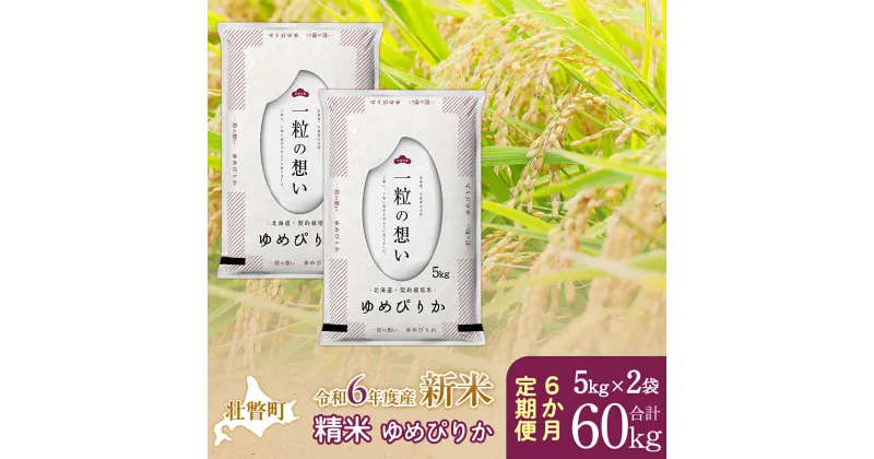 【ふるさと納税】【新米】【令和6年産米】北海道壮瞥産 ゆめぴりか 計60kg（5kg×2袋 6ヵ月定期配送） 【 ふるさと納税 人気 おすすめ ランキング 新米 米 お米 コメ こめ ゆめぴりか 精米 白米 ごはん ご飯 壮瞥産 定期便 北海道 壮瞥町 送料無料 】 SBTE031