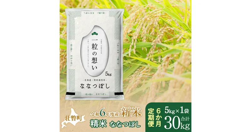 【ふるさと納税】【新米】【令和6年産米】北海道壮瞥産 ななつぼし 計30kg（5kg×1袋 6ヵ月定期配送） 【 ふるさと納税 人気 おすすめ ランキング 新米 米 お米 コメ こめ ななつぼし 精米 白米 ごはん ご飯 壮瞥産 定期便 北海道 壮瞥町 送料無料 】 SBTE036