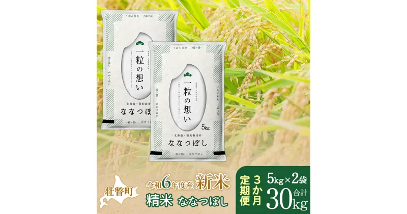 【ふるさと納税】【新米】【令和6年産米】北海道壮瞥産 ななつぼし 計30kg（5kg×2袋 3ヵ月定期配送） 【 ふるさと納税 人気 おすすめ ランキング 新米 米 お米 コメ こめ ななつぼし 精米 白米 ごはん ご飯 壮瞥産 定期便 北海道 壮瞥町 送料無料 】 SBTE038