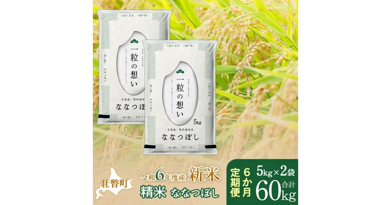 【ふるさと納税】【新米】【令和6年産米】北海道壮瞥産 ななつぼし 計60kg（5kg×2袋 6ヵ月定期配送） 【 ふるさと納税 人気 おすすめ ランキング 新米 米 お米 コメ こめ ななつぼし 精米 白米 ごはん ご飯 壮瞥産 定期便 北海道 壮瞥町 送料無料 】 SBTE039