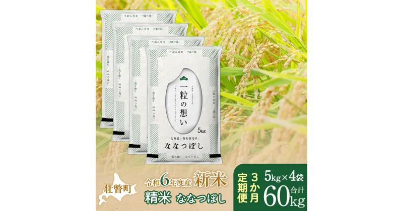 【ふるさと納税】【新米】【令和6年産米】北海道壮瞥産 ななつぼし 計60kg（5kg×4袋 3ヵ月定期配送） 【 ふるさと納税 人気 おすすめ ランキング 新米 米 お米 コメ こめ ななつぼし 精米 白米 ごはん ご飯 壮瞥産 定期便 北海道 壮瞥町 送料無料 】 SBTE058