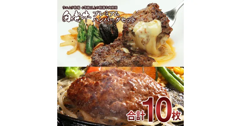 【ふるさと納税】 白老牛プレミアムステーキハンバーグセット和牛 牛肉 加工肉 ハンバーグ チーズ 肉料理 惣菜 チーズハンバーグ ウエムラ牧場 北海道ふるさと納税 白老 ふるさと納税 北海道 クリスマス