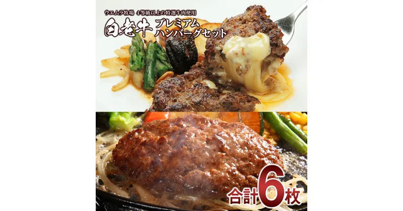 【ふるさと納税】 ウエムラ牧場の白老牛 プレミアムステーキハンバーグセット和牛 牛肉 加工肉 ハンバーグ チーズ 肉料理 惣菜 チーズハンバーグ 北海道ふるさと納税 白老 ふるさと納税 北海道 クリスマス