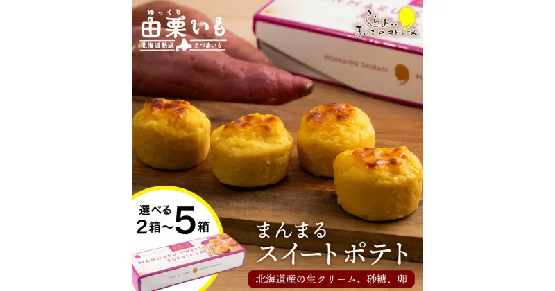 【ふるさと納税】由栗いも まんまるスイートポテト 選べる2箱～5箱セット 1箱4個入 お菓子 スイーツ お茶うけ 洋菓子 さつまいも 冷凍 いも おかし 北海道 AR115お菓子 デザート 北海道ふるさと納税 白老 ふるさと納税 北海道