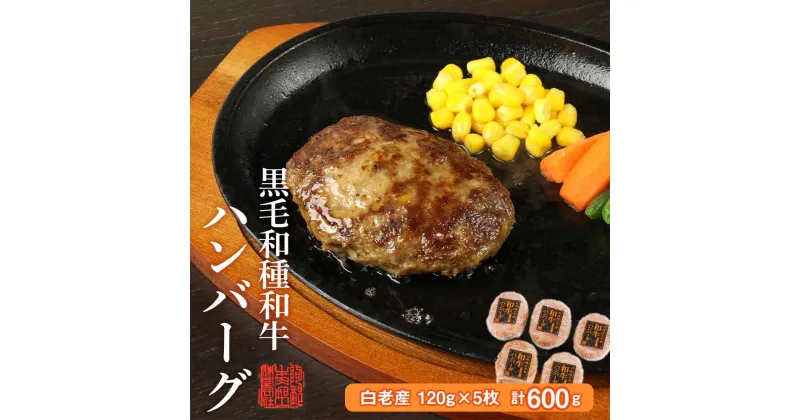 【ふるさと納税】 黒毛和種和牛ハンバーグ(白老産)　120g×5枚　計600g和牛 牛肉 加工肉 ハンバーグ 肉料理 惣菜 北海道ふるさと納税 白老 ふるさと納税 北海道 クリスマス