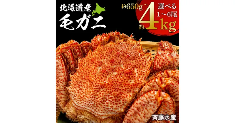 【ふるさと納税】 冷凍毛がに 選べる650g～4kg 大サイズ～特特大サイズ 1尾～6尾 【斉藤水産】毛がに 毛ガニ 毛蟹 ケガニ 毛かに 毛カニ 蟹 カニ 北海道ふるさと納税 白老 ふるさと納税 北海道