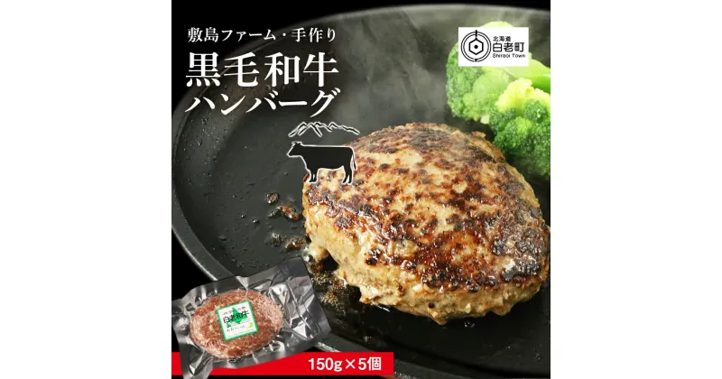 【ふるさと納税】大人気！黒毛和牛手作りハンバーグセット≪敷島ファーム≫ハンバーグ 加工肉 惣菜 肉料理 黒毛和牛 北海道ふるさと納税 白老 ふるさと納税 北海道 クリスマス