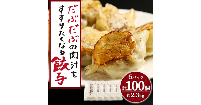 【ふるさと納税】 だぶだぶの肉汁をすすりたくなる餃子 100個（20個入×5パック）餃子 肉料理 ぎょうざ ギョウザ 惣菜 北海道ふるさと納税 白老 ふるさと納税 北海道