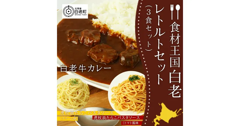 【ふるさと納税】「食材王国」白老レトルトセット（3食セット）カレー パスタソース たらこパスタ たらこソース 惣菜 レトルト 北海道ふるさと納税 白老 ふるさと納税 北海道