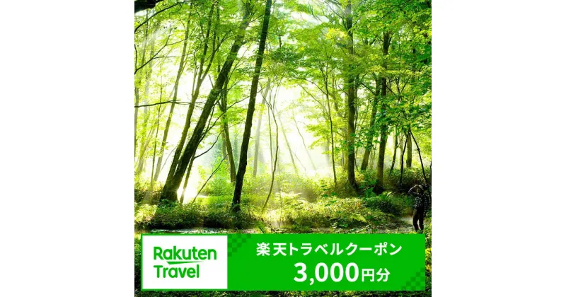 【ふるさと納税】北海道白老町の対象施設で使える楽天トラベルクーポン 寄付額10,000円